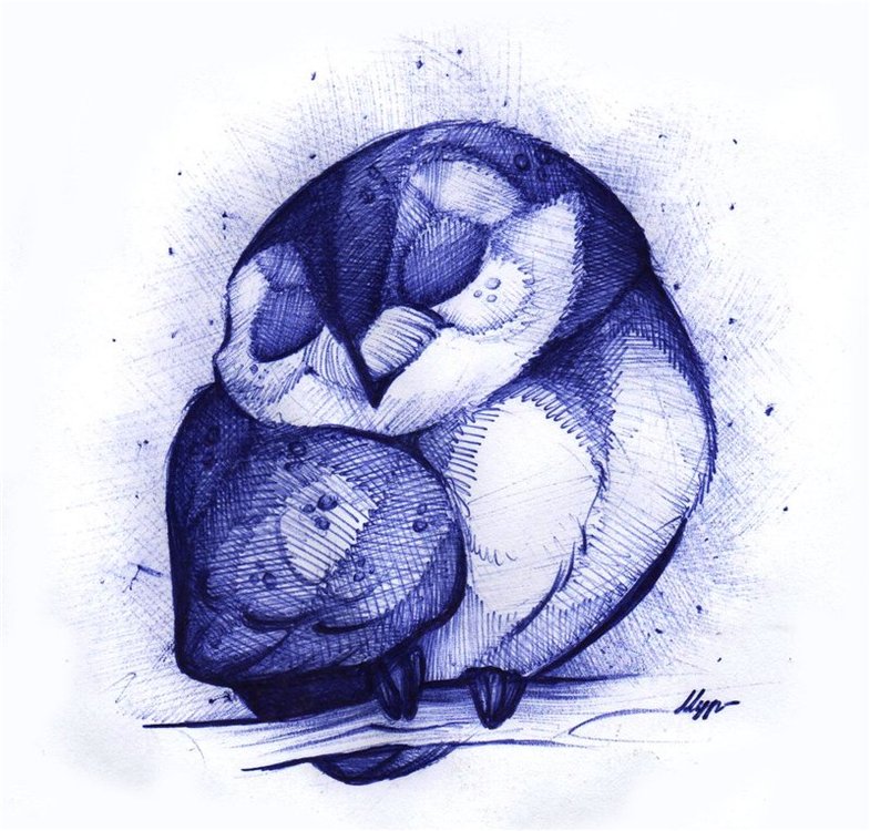 04.12.2015, 16:05