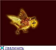 25.11.2009, 05:50