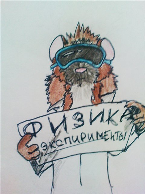 26.07.2011, 12:38
