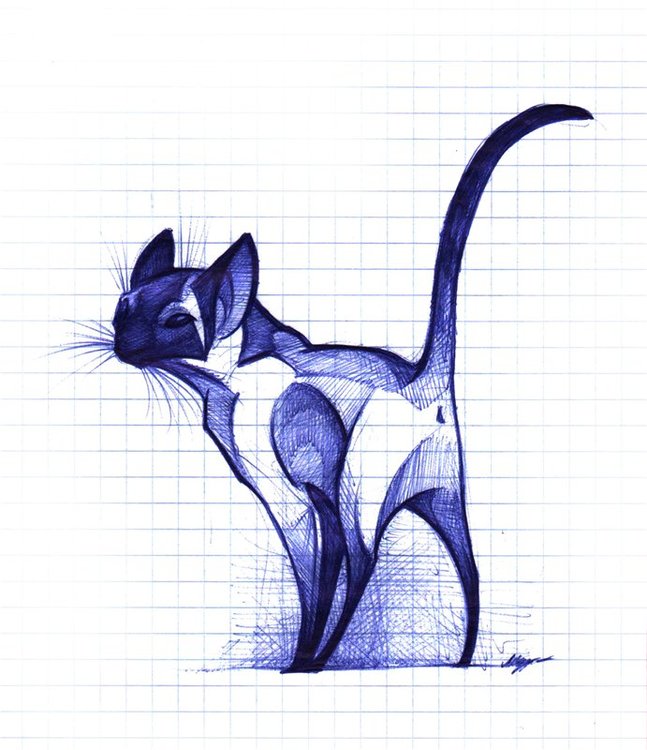 05.12.2015, 06:41