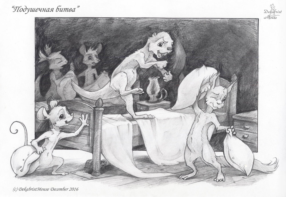 подушечный бой.jpg