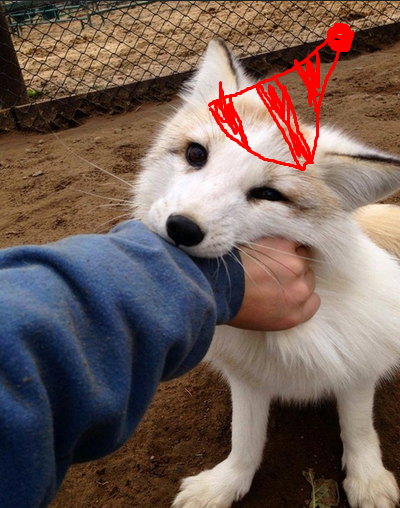 image.png.092070038083755d8bc6a64807e6d391.png