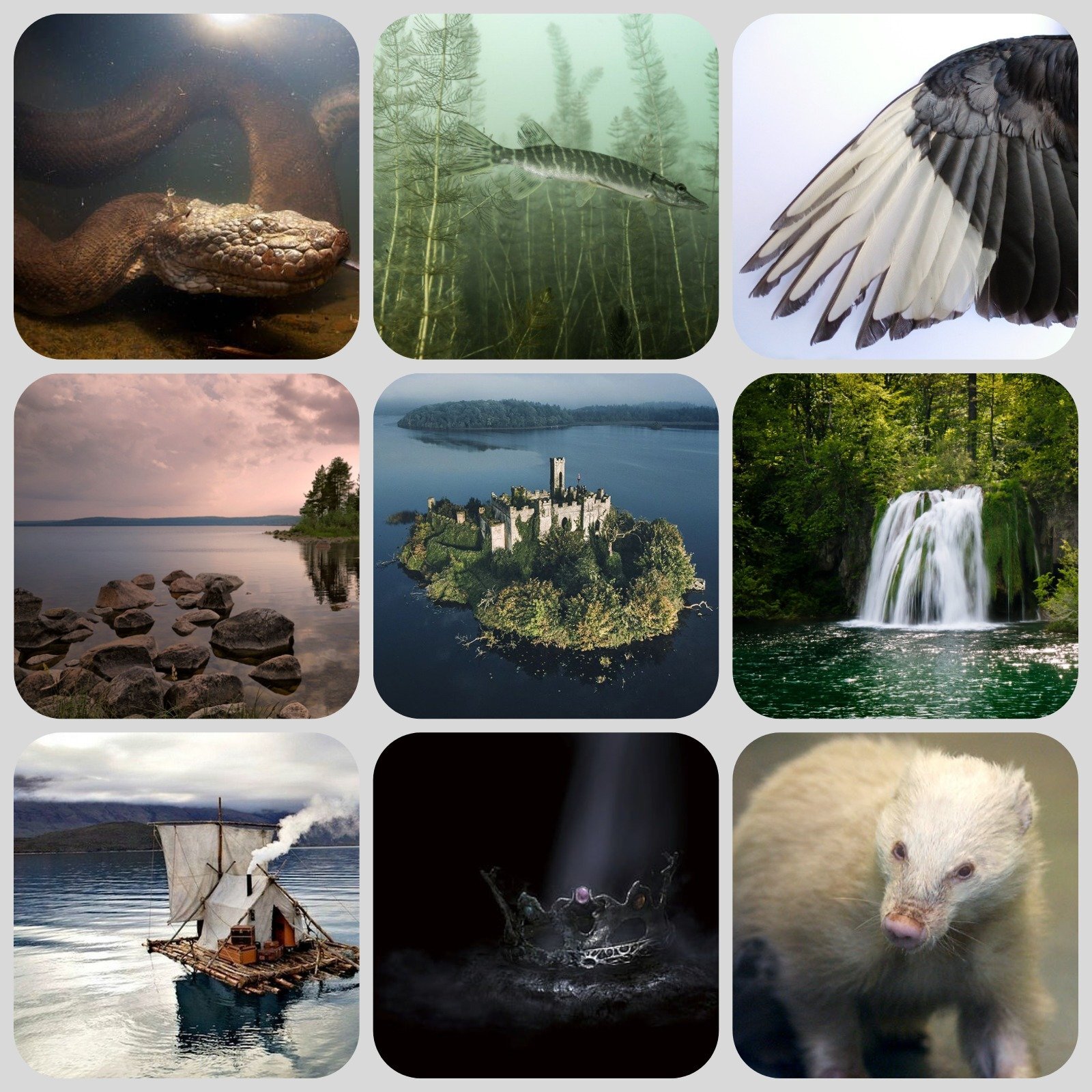 MyCollages (3).jpg
