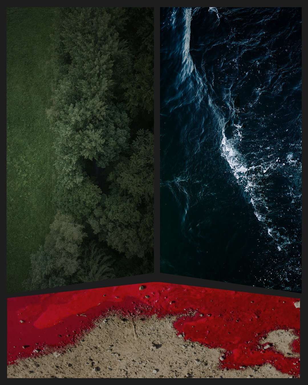 damug-sword-collage2.jpg.511543e3c0fc50883cc27b7a92f79d64.jpg
